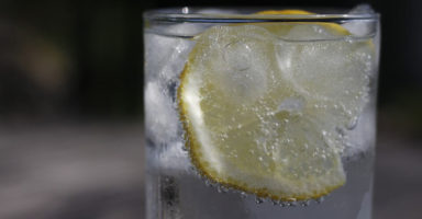 レモン系の果実を入れた炭酸水