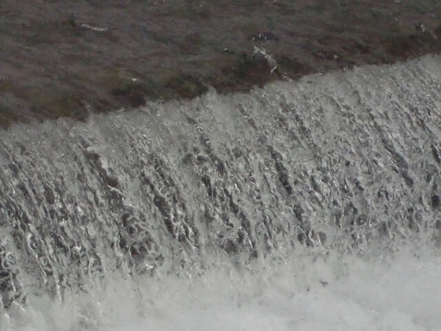 杉並区にある善福寺川は氾濫しやすい 氾濫の対策とこれまでの歴史 まるごとライフ